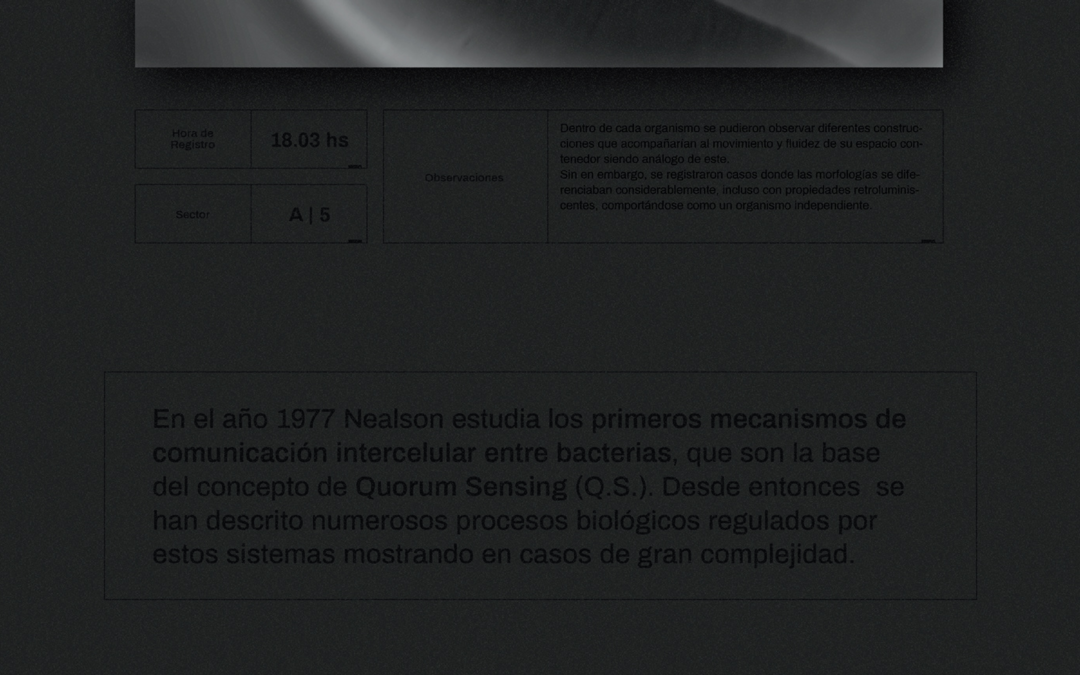 Protegido: TEST